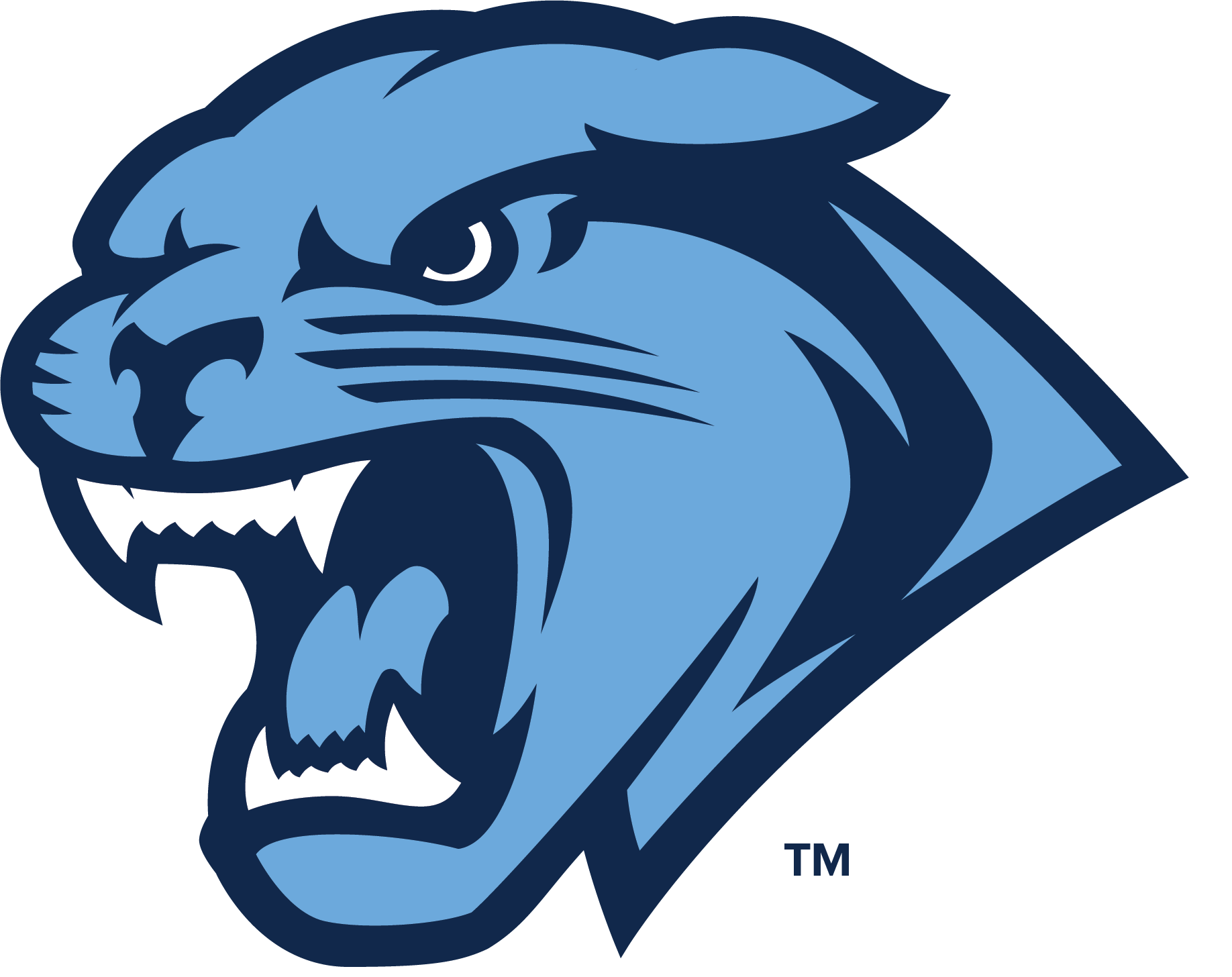District Logo